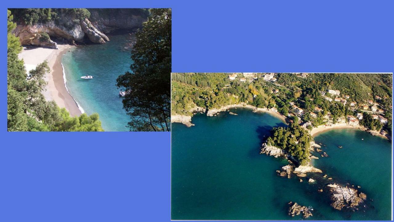 Lusso Accessibile E Servizi Lerici Zewnętrze zdjęcie